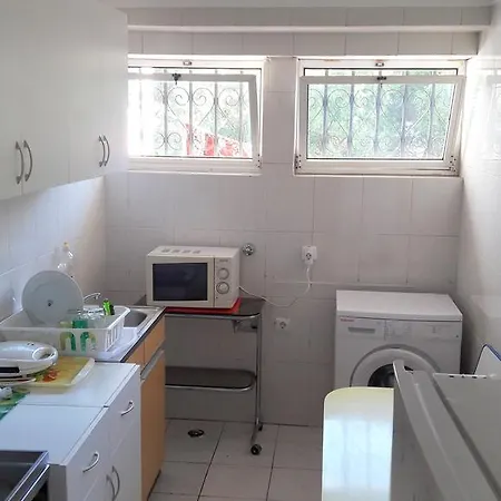 Palm Pensión Cascaes